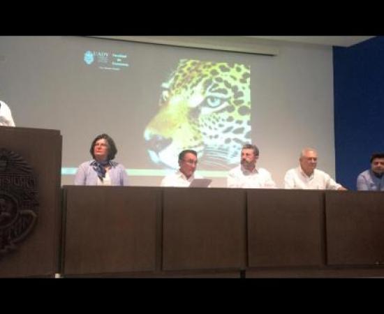 IV. Jornada Mérida UADY_11